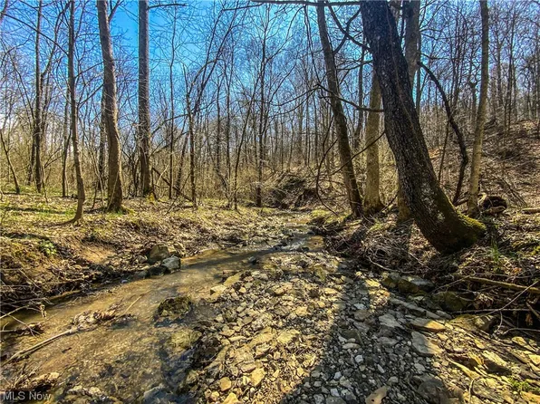 0 McConnellsville Rd, Caldwell, OH 43724