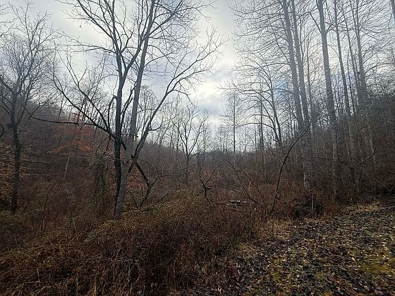 5th image of 24516 Slick Rock Rd