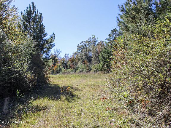 5th image of 2 Gibson Rd