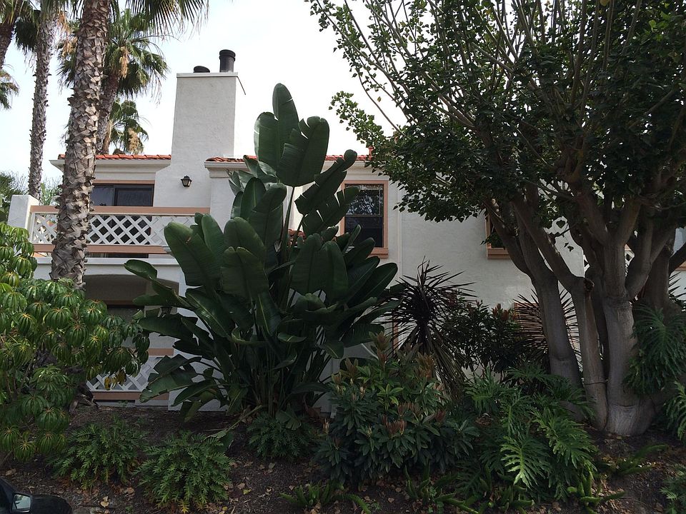 Trees offer privacy of our top floor unit