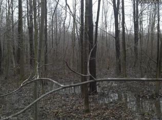 Gore Rd, Ashtabula, OH 44004