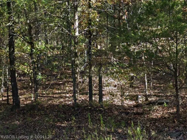 Tbd Lancaster Rd, Rudy, AR 72952