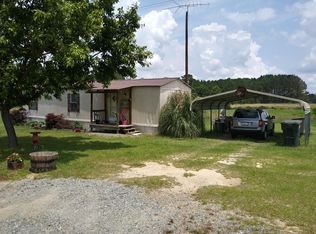 827 Blue Springs Rd, Pineview, GA 31071