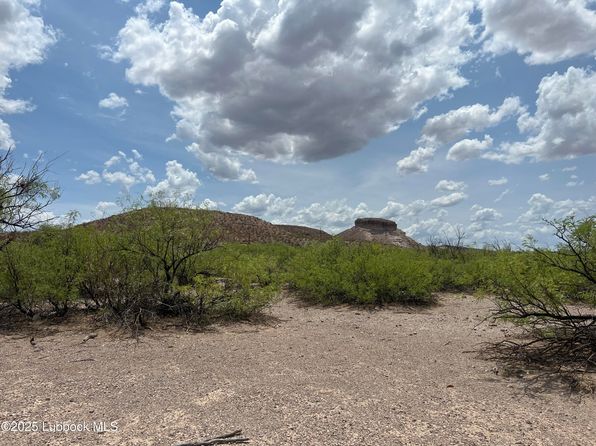 Lots 11 24 Sec 65 Block 2 T&p Presidio County, Presidio, TX 79845