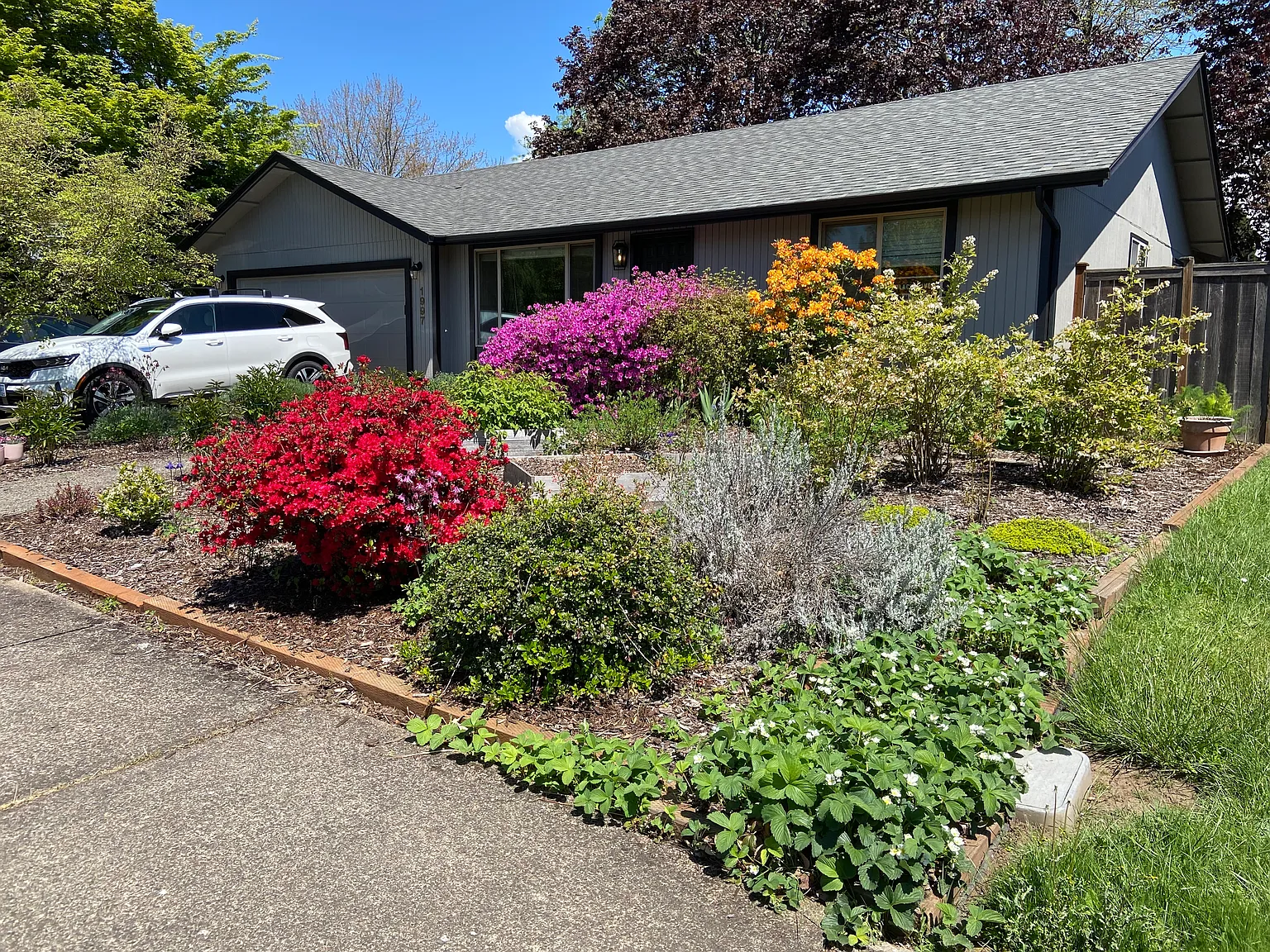 4 bed, 1946 sqft, $3,100 — Photo 1