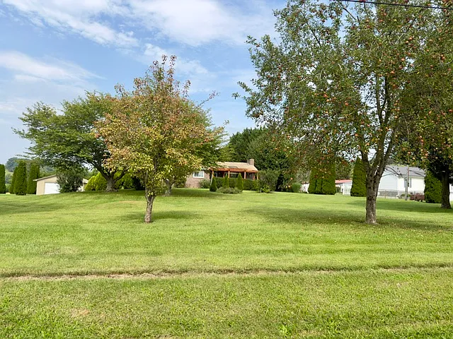 100 Shannondoah Dr — Photo 26