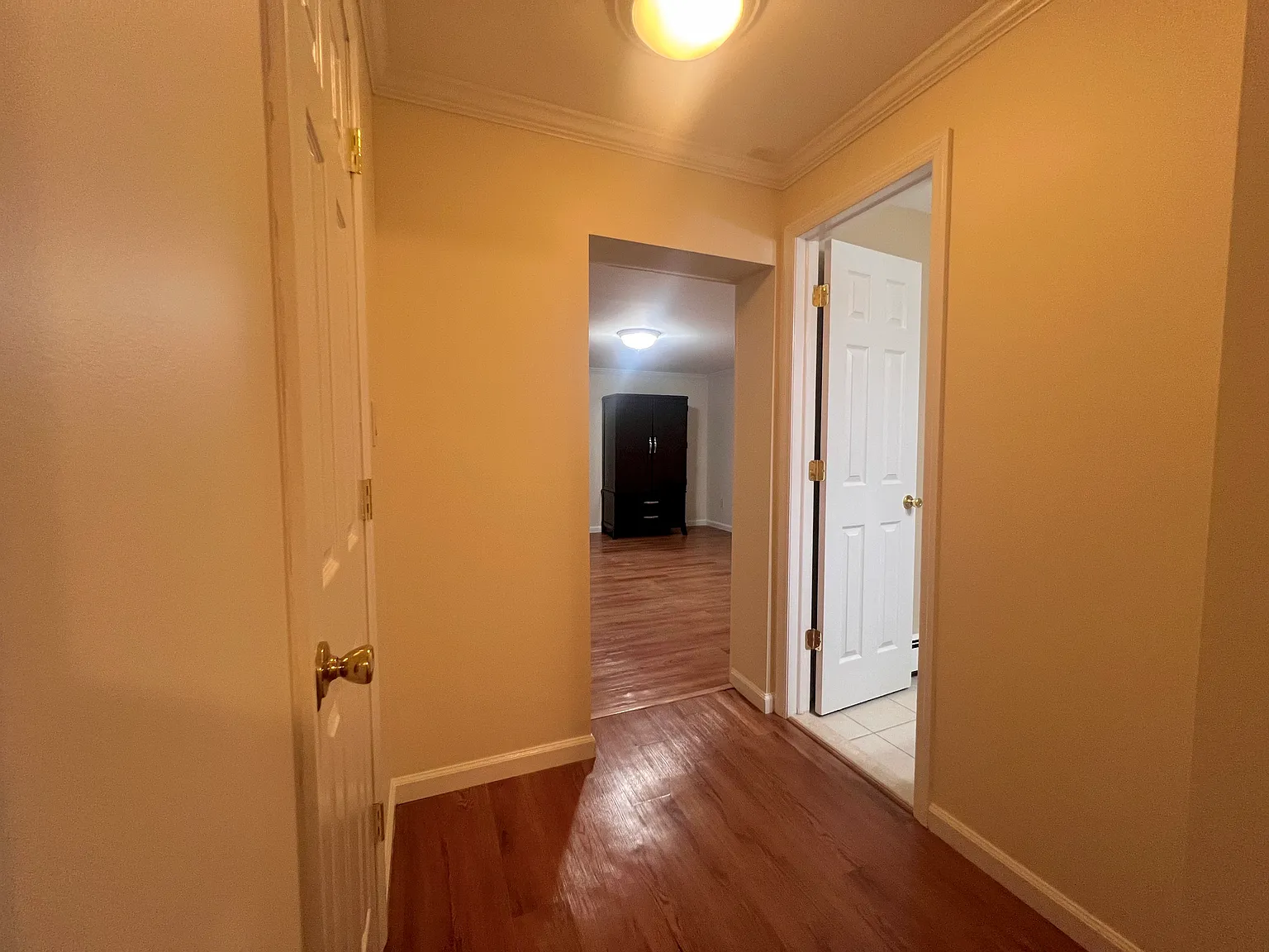 Monarch Ave, Selden — Photo 4