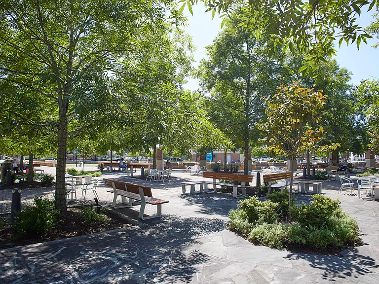 City Green Park for Outdoor Activities