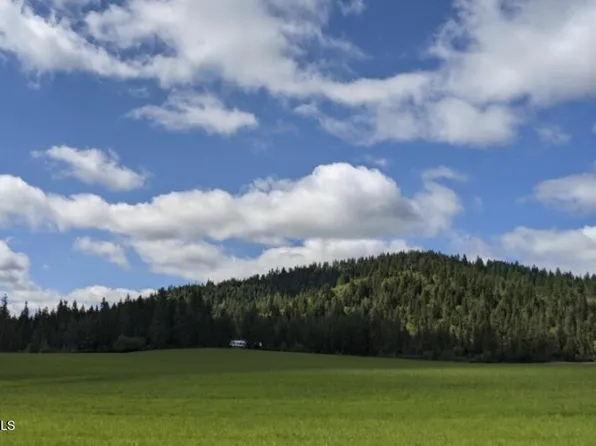 352 Camarillo Ln, Plummer, ID 83851