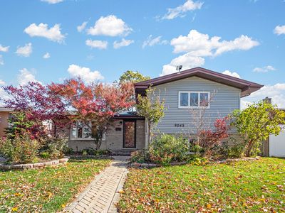 9043 Oriole Ave, Morton Grove, IL, 60053