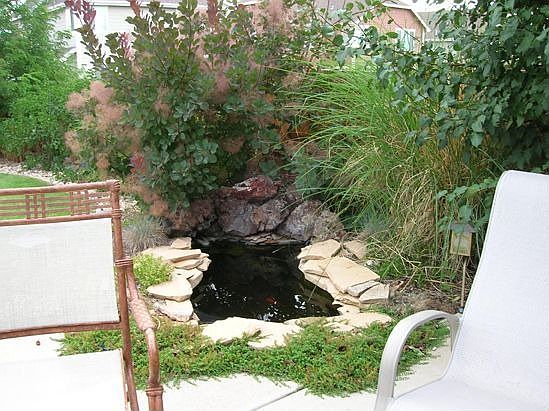 Backyard Pond
