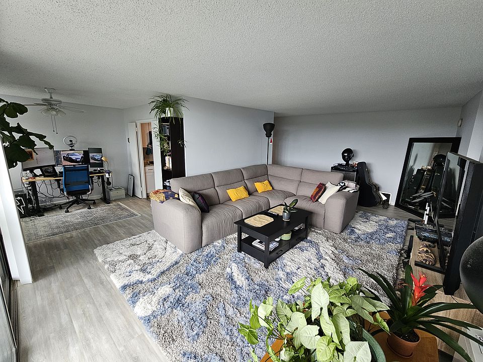Lots of light in the living room.