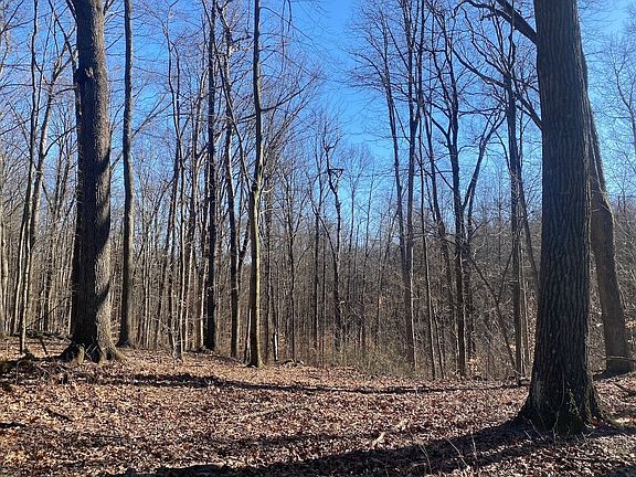 4th image of 28370 Jug Run Rd
