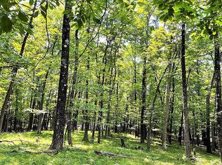 0 Potic Mountain Rd LOT 5, Athens, NY 12015
