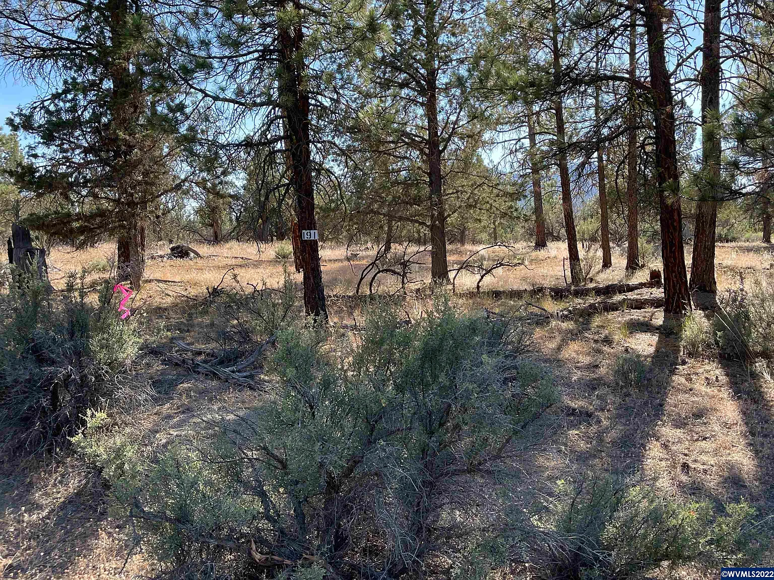 LOT 19 Jean St photo 1