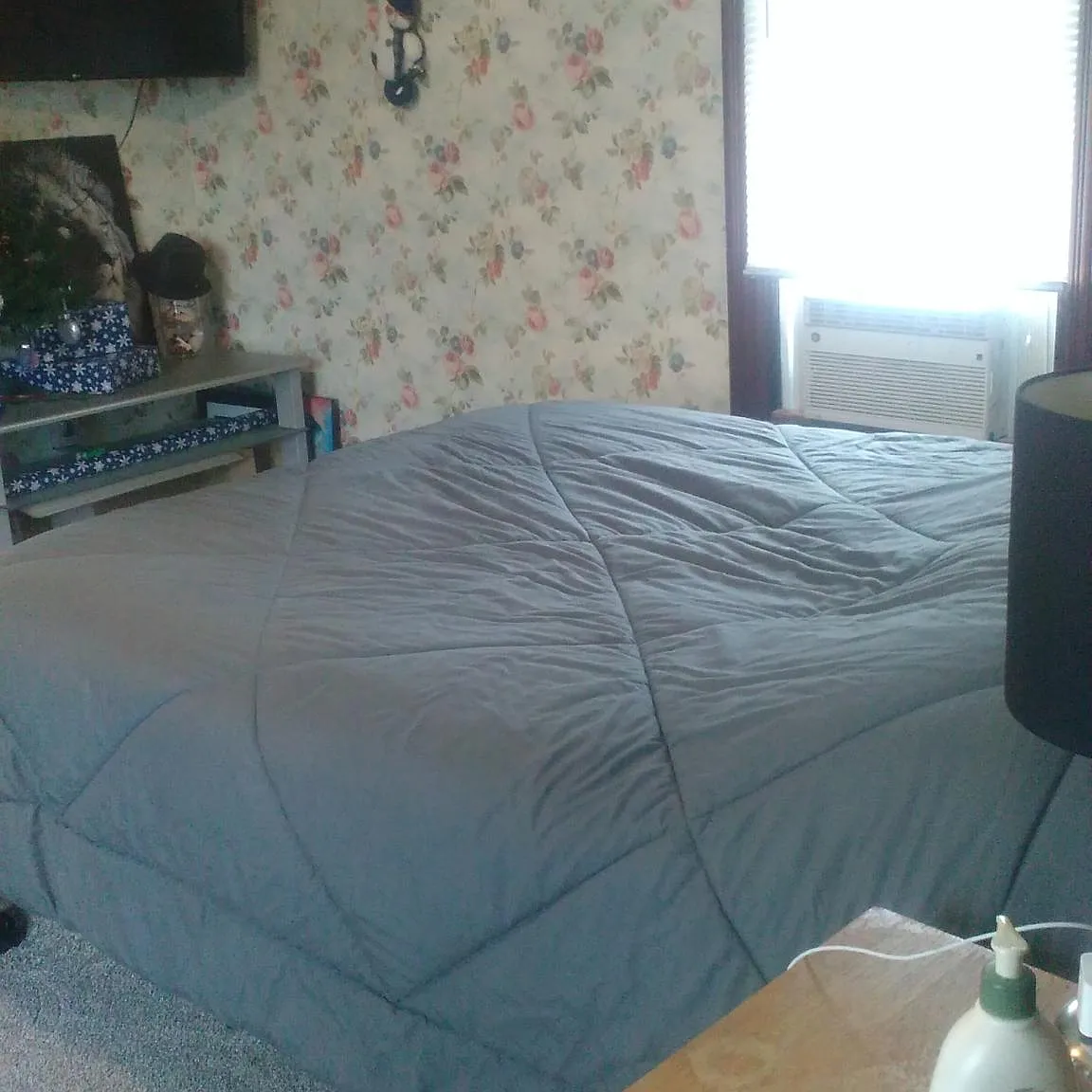 2 bed, 700 sqft, $900 — Photo 2