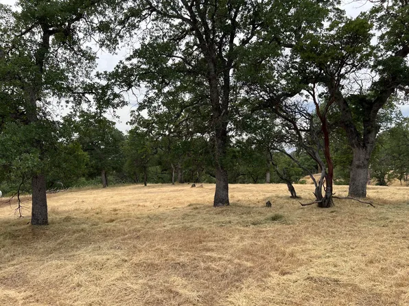 19870 Moose Way, Cottonwood, CA 96022