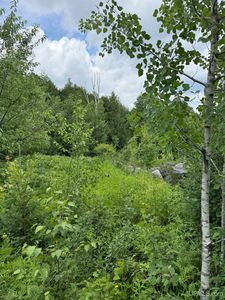 S Brook St, Michigamme, MI, 49861