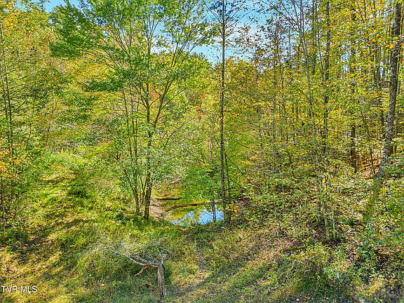 47th image of this home