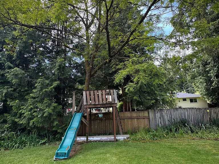 back yard