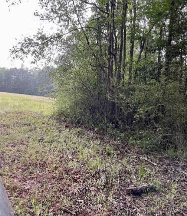 5th image of Dothan Rd