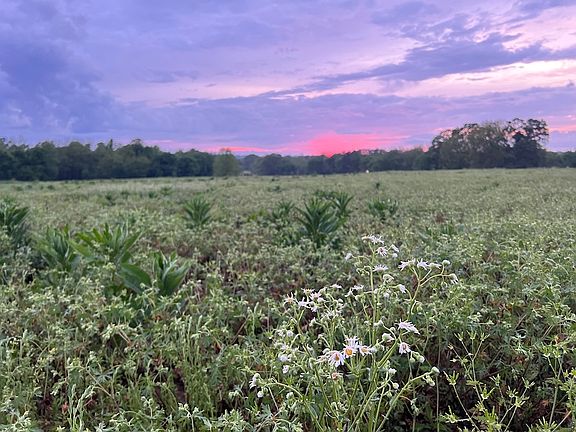 5th image of Burnett Rd Lot Wp001