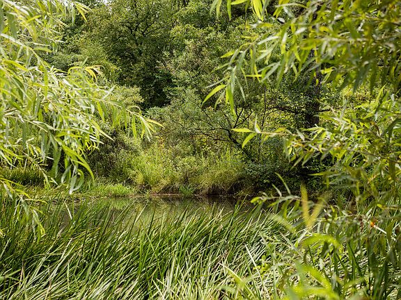 2nd image of 000 County Road 561