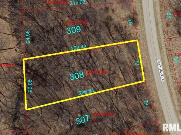 308 Sweetbriar Ct, Dahinda, IL 61428