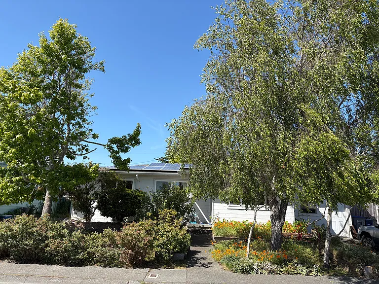 Large trees in front yard attract birds, provide privacy from street