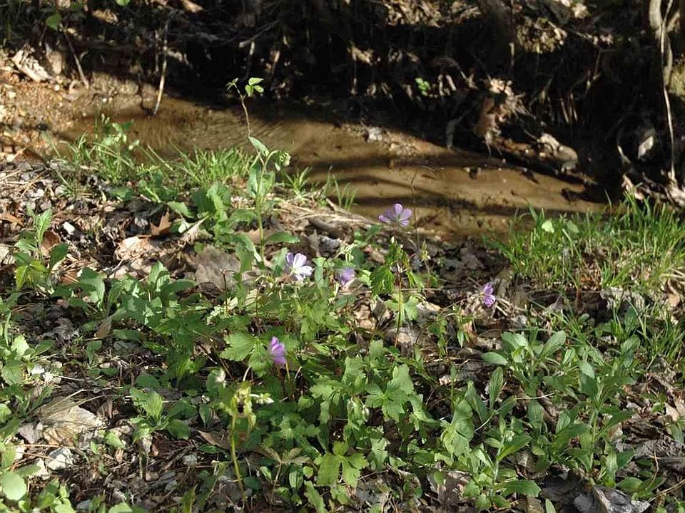 1st image of 25 Paradise Falls Way Lot 25