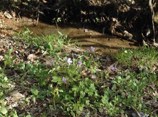 25 Paradise Falls Way LOT 25, Sevierville, TN 37862