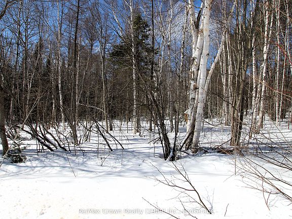 3rd image of 0 Alsace Rd