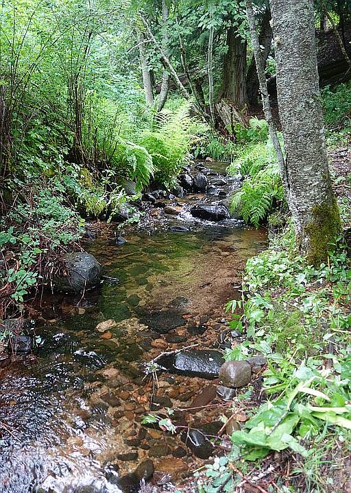 Year round creek