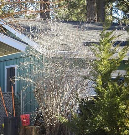 3rd image of 105 Finch Dr