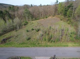 119 Hickory Hill Rd #3, Otego, NY 13825