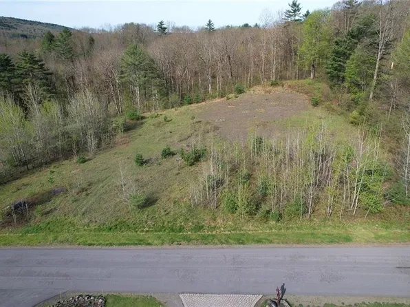 119 Hickory Hill Rd #3, Otego, NY 13825