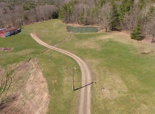 7299 Freeman Hollow Rd, Bath, NY 14810