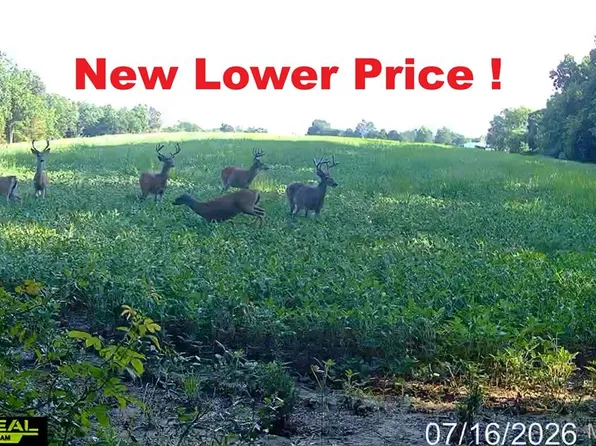 920 S Poplar Camp Rd, Makanda, IL 62958