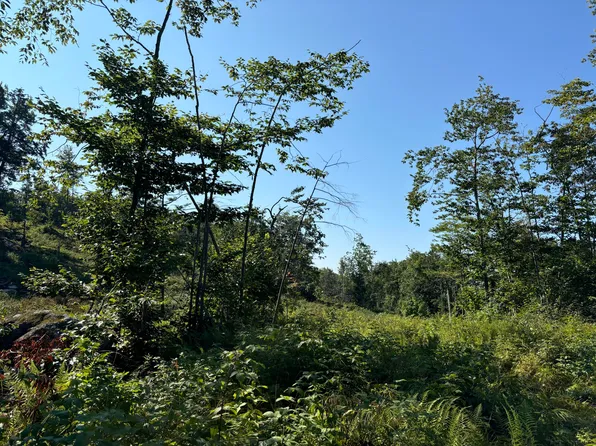 9A Off Russell/WM Livermore Road, Fayette, ME 04349