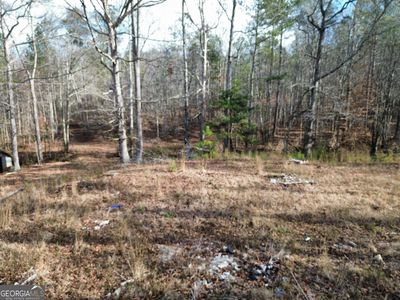 881 S Little New York Trl, Whitesburg, GA, 30185