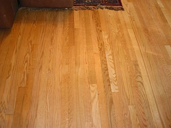 newly finished hardwood floors