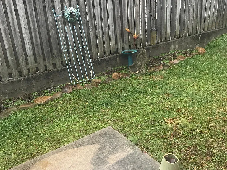 Back yard
