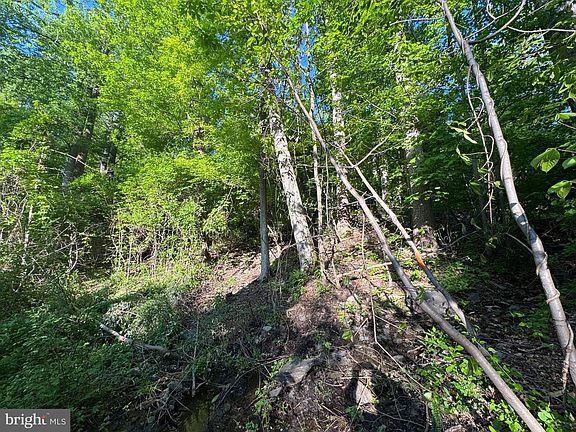 3rd image of Edgemont Rd