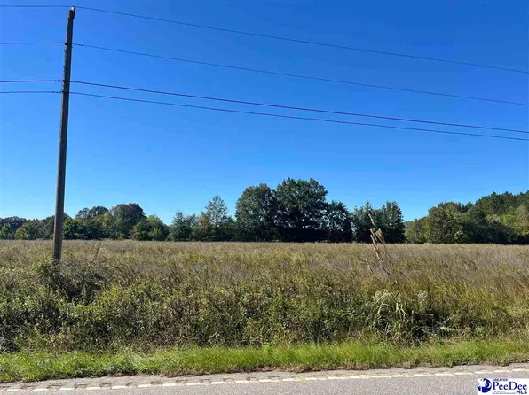 Screwpin Rd, Blenheim, SC 29516