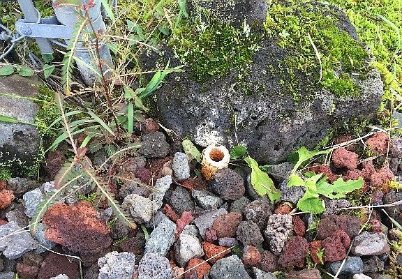 3rd image of Ginger Ln Lot 6