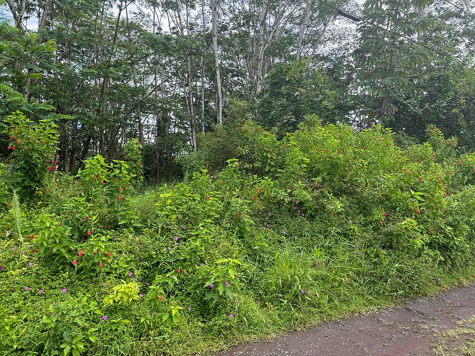 1st image of King Kamehameha Blvd Lot 17