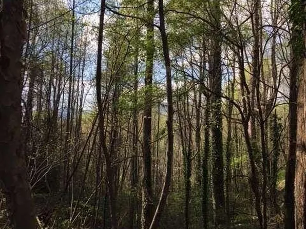 0 Old Chechero Rd, Clayton, GA 30525