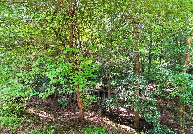 94 Four Mile Tree — Photo 32