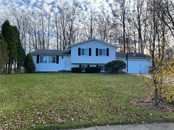 9555 Shadywood Ln, Twinsburg, OH 44087