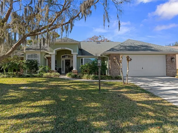 6092 N Misty Oak Ter, Beverly Hills, FL 34465